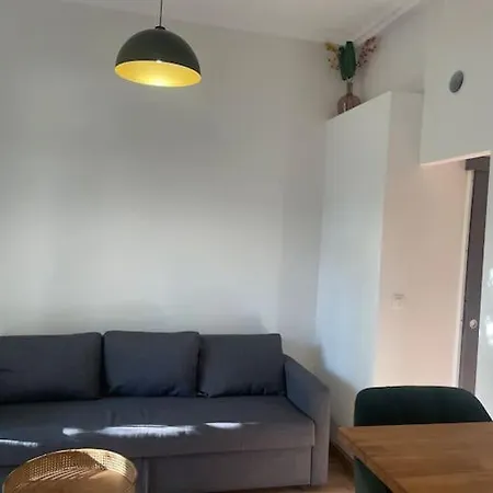 Apartment Artus T2 Proche Artem Thermes Neuf *